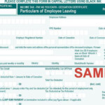 164 Employee Form Free Download