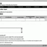 3 21 263 IRS Individual Taxpayer Identification Number ITIN Real Time