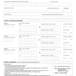 Adp New Employee Information Form Free Printable Employee Information