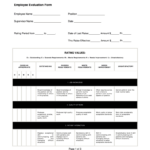 Caregiver Performance Review Template Fill Online Printable