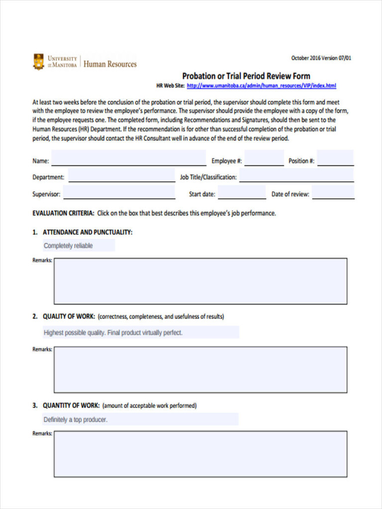 FREE 11 Probation Review Forms In PDF Ms Word