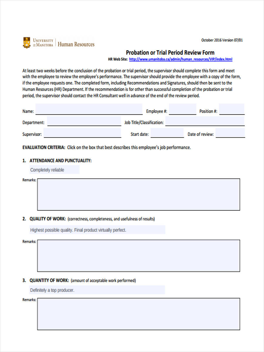 FREE 11 Probation Review Forms In PDF Ms Word