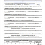 FREE 25 Sample Training Evaluation Forms In PDF MS Word