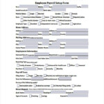 FREE 34 Printable Payroll Forms In PDF Excel MS Word