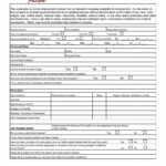 Free Streets Of New York Job Application Form PDF Template Form