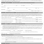 Georgia United States Georgia State Income Tax Substitute Form G 4p