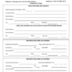 Illinois New Hire Reporting Form Download Fillable PDF Templateroller