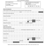 Nc New Hire Fill Out And Sign Printable PDF Template SignNow