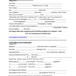 New Employee Forms Florida 2023 Employeeform