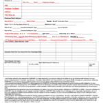 Paydata Employee Set Up Form Printable Pdf Download