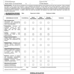 PERFORMANCE EVALUATION FORM In Word And Pdf Formats