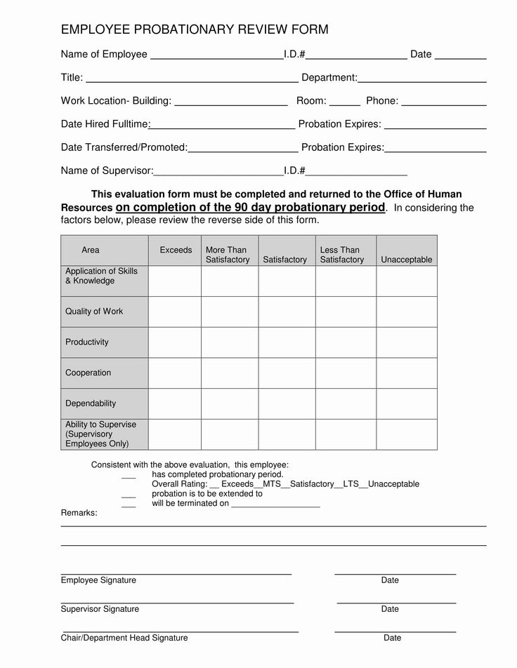 90 Day Employee Evaluation Form In 2020 Employee Evaluation Form 