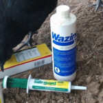 Deworming Chickens YouTube