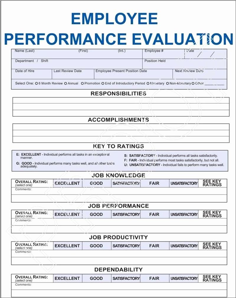 Employee Performance Appraisal Form Template Inspirational Employee 