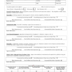 FREE 7 Sample Employee Evaluation Forms In MS Word PDF