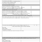 Irs New Employee Reporting Form 2022 Employeeform