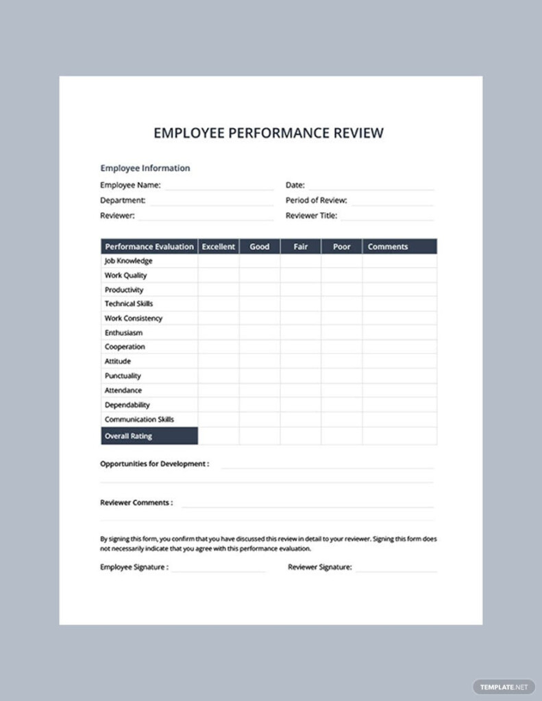 Performance Evaluation Template Google Docs Word Apple Pages PDF 