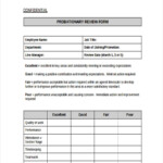 Sample 90 Day Probation Form 16 Images 70 Free Employee Performance